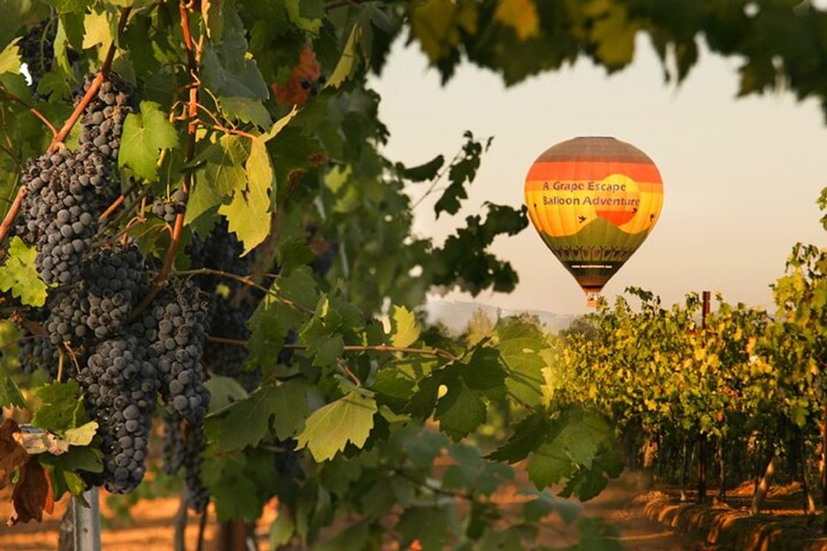 sunrise-hot-air-balloon-flight-over-the-temecula-wine-country_1